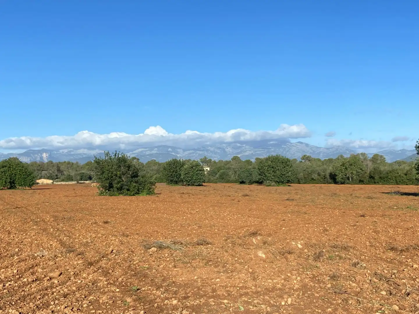 Maison rustique à vendre à Sineu, imagen 26