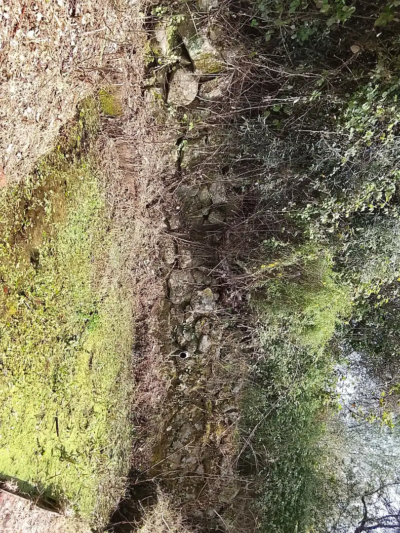 Terreni e lotti in vendita a Viandar de la Vera, imagen 15