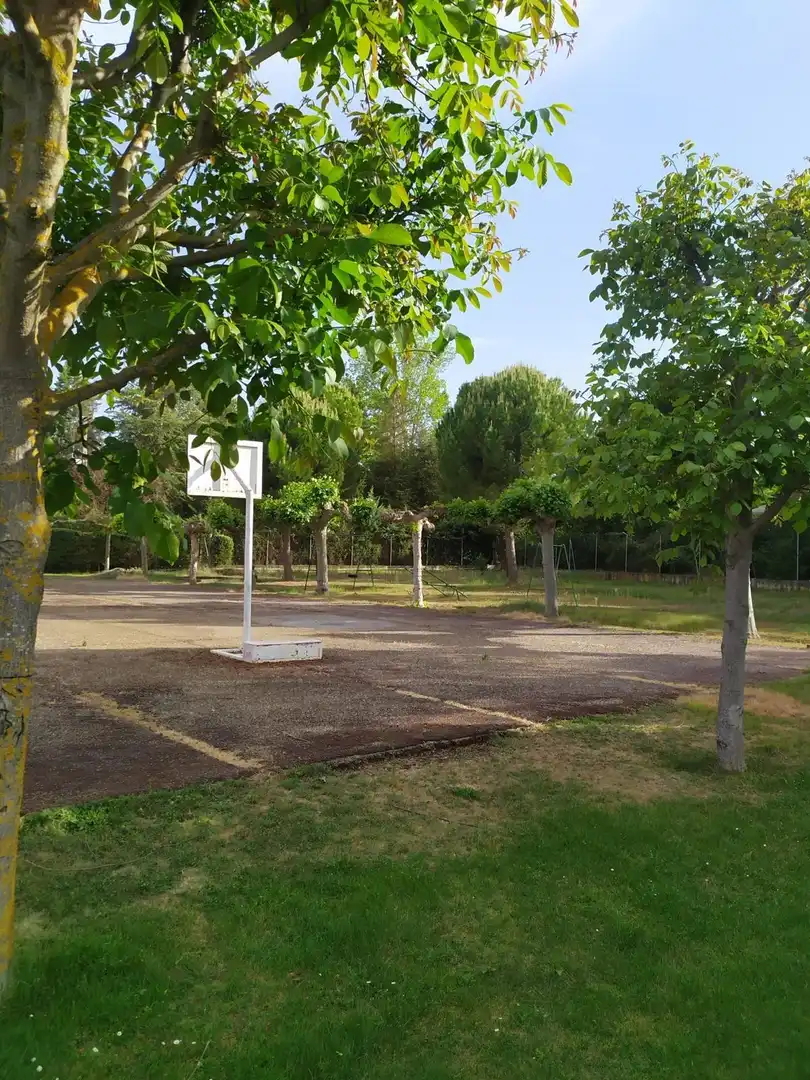 Garden of Country homes for sale in Villamuriel de Cerrato  with Heating, Private garden and Terrace