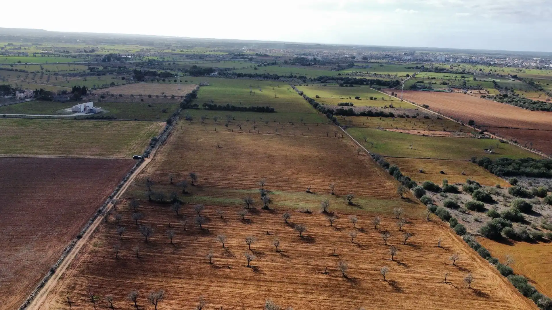 Lands and plots for sale in SA SERRA, imagen 4