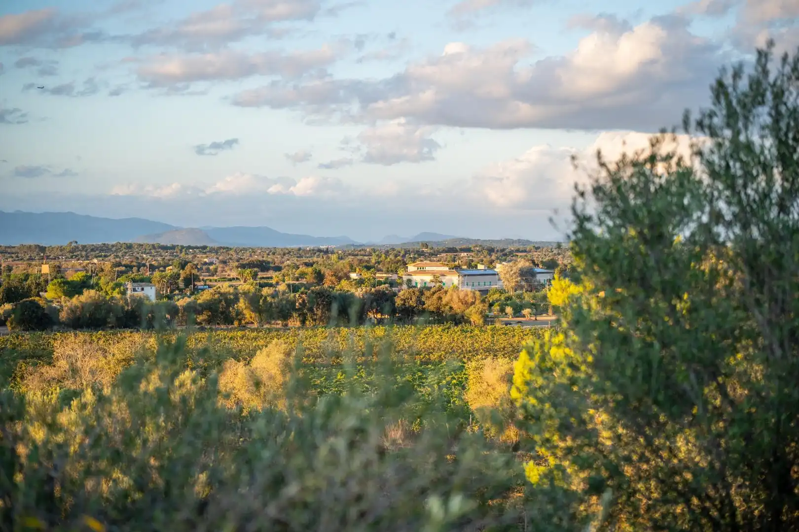 Casa rústica amb terrassa en venda a Algaida, imagen 39