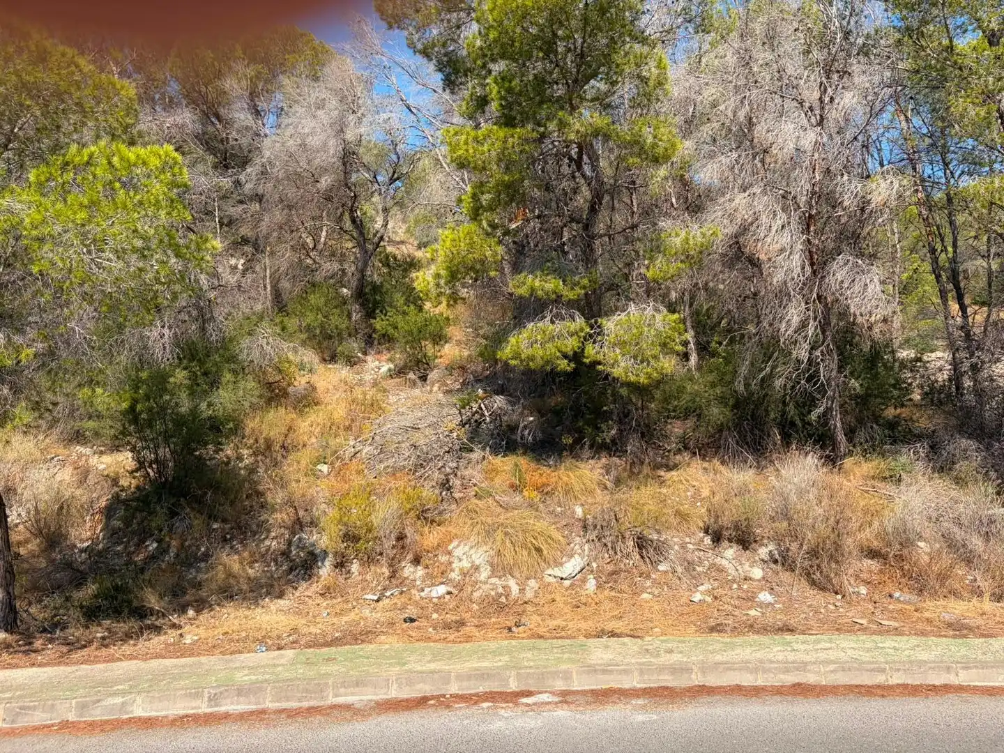 Residential land for sale in Mascarat, imagen 7