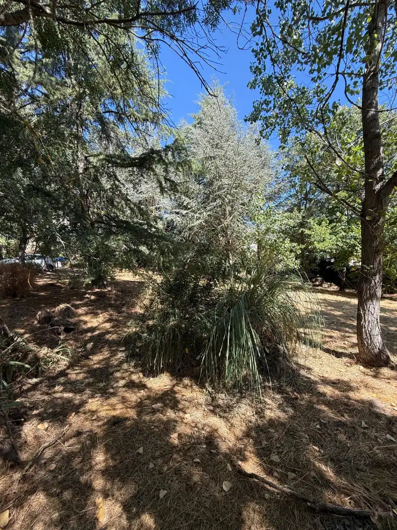 Residential land for sale in Calle del Berrocal, imagen 4