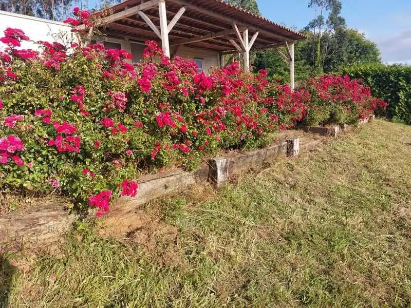 Garden of Houses for sale in Cedeira  with Private garden