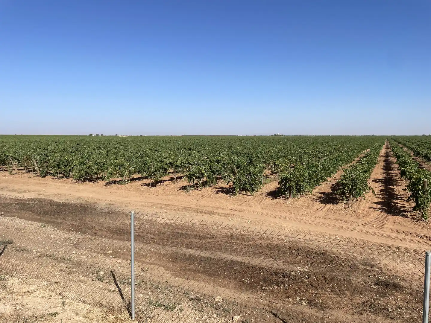 Rural land for sale in Argamasilla de Alba, imagen 5