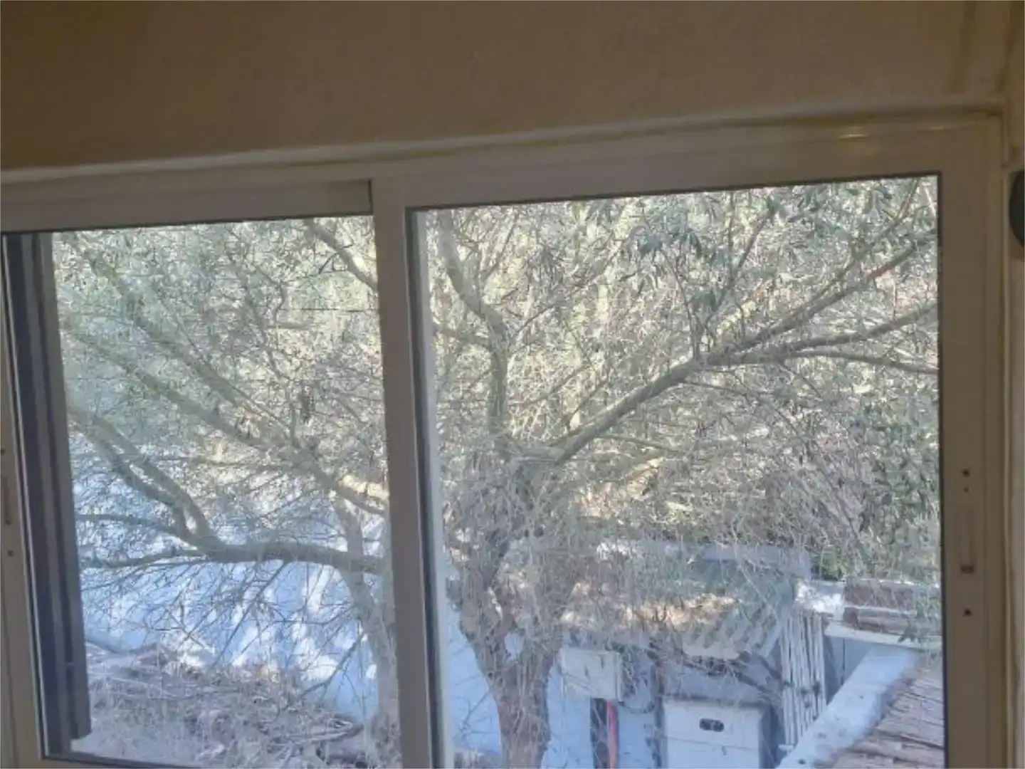 Garden of Houses for rent in Barbate  with Private garden, Parquet flooring and Swimming Pool