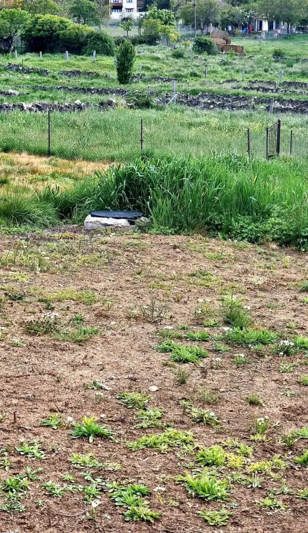 Terreni e lotti in vendita a Vegas de Matute, imagen 6
