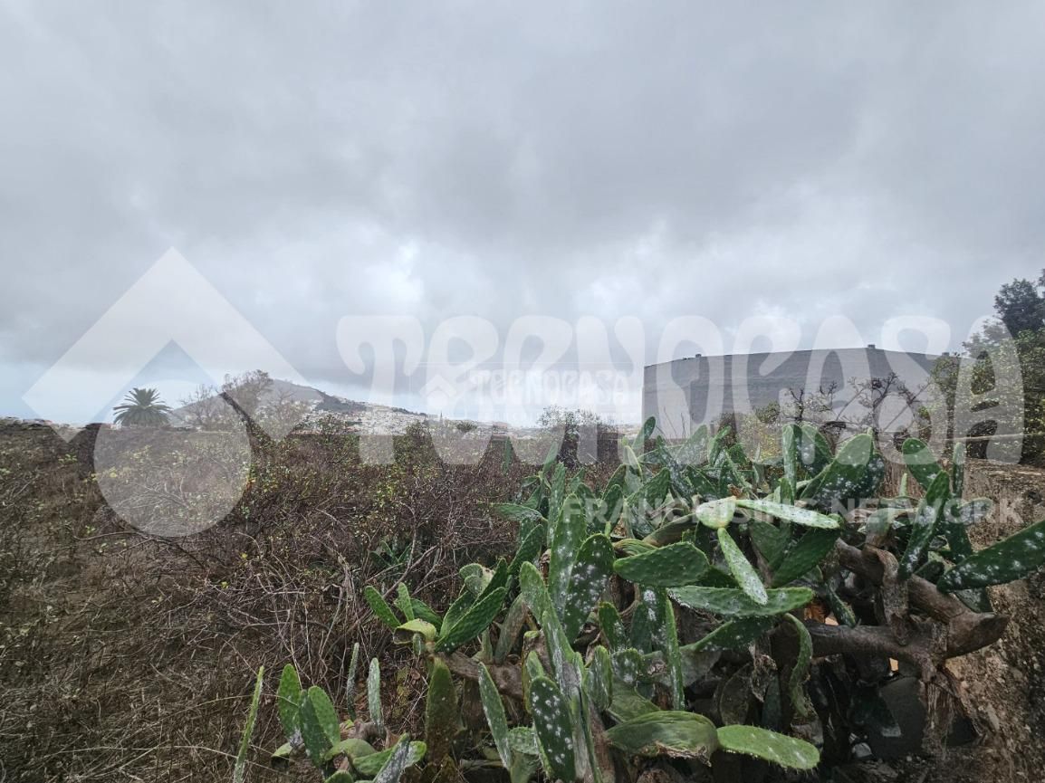 Grundstücke zum verkauf in Arucas