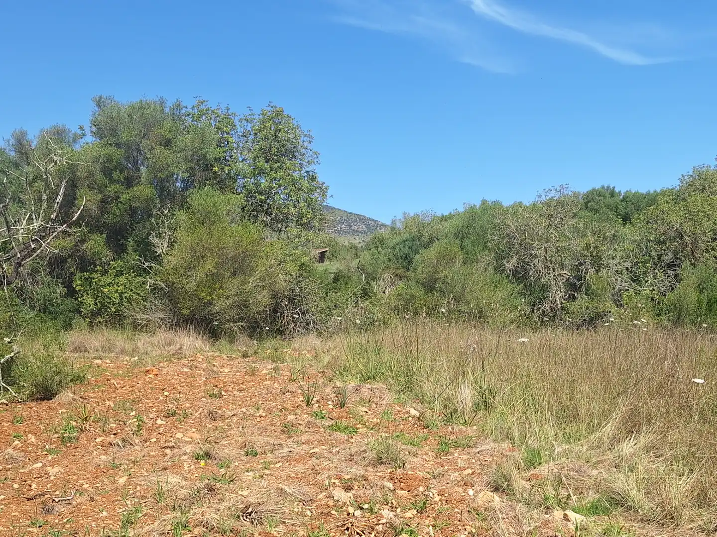 Rural land for sale in Sant Llorenç des Cardassar, imagen 6