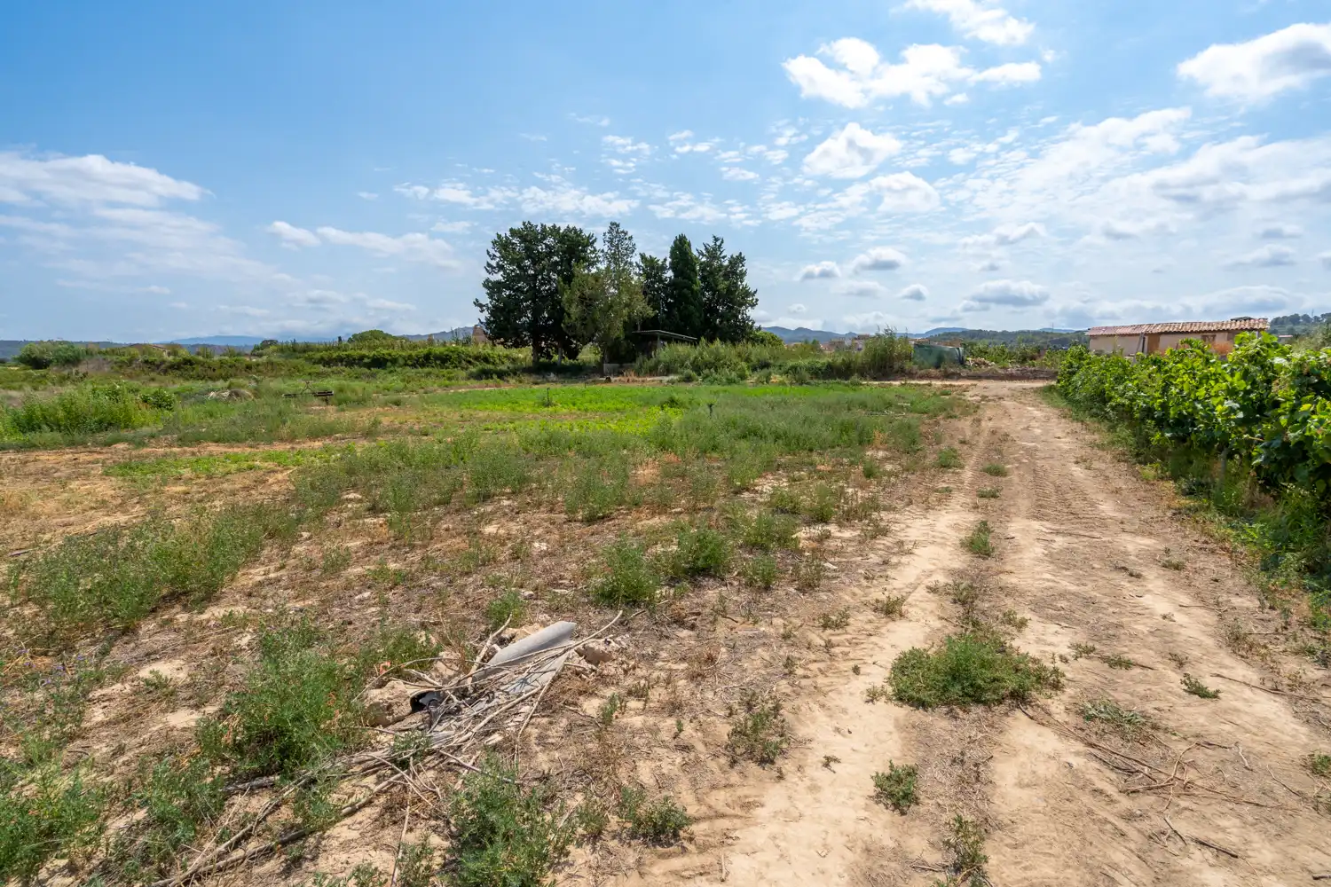 Rural land for sale in Carrer Barca, imagen 3