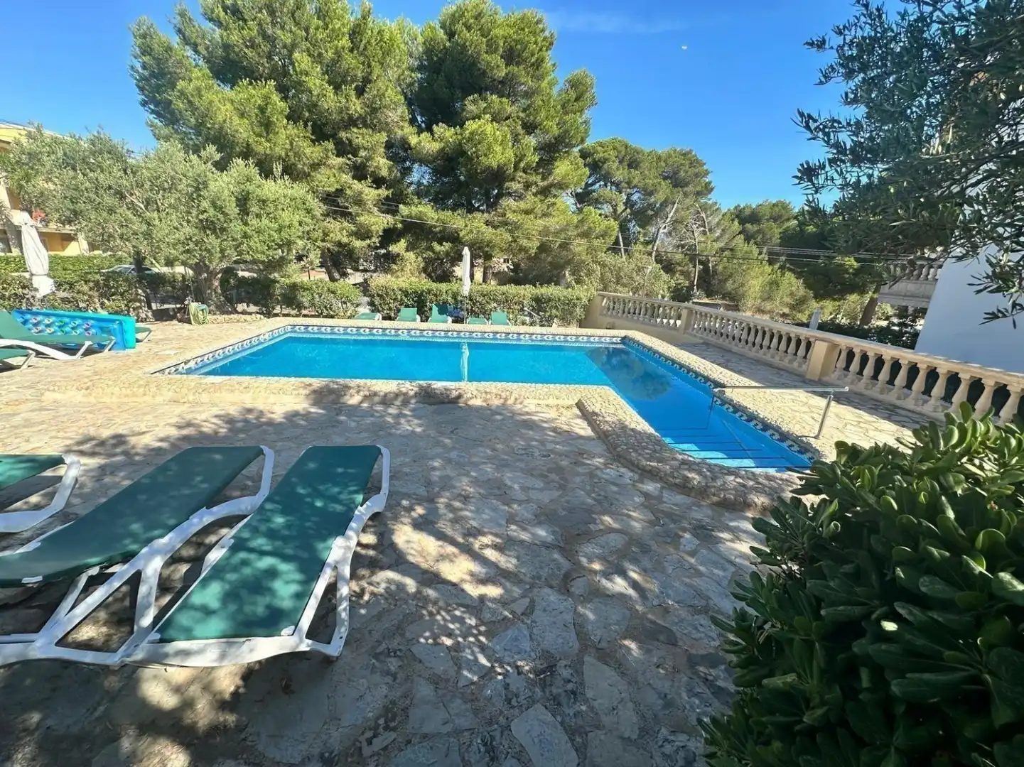 Schwimmbecken von Wohnung zur Miete in Can Picafort