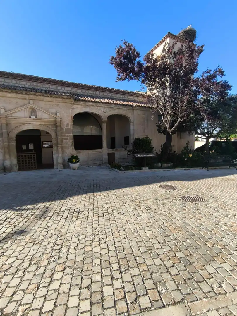 Vista exterior de Casa o xalet de lloguer amb opció a compra en Torremocha de Jarama amb Calefacció, Jardí privat i Traster
