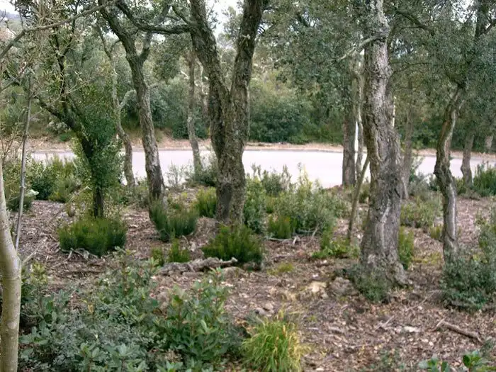 Terreny residencial en venda a Romanyà, imagen 3