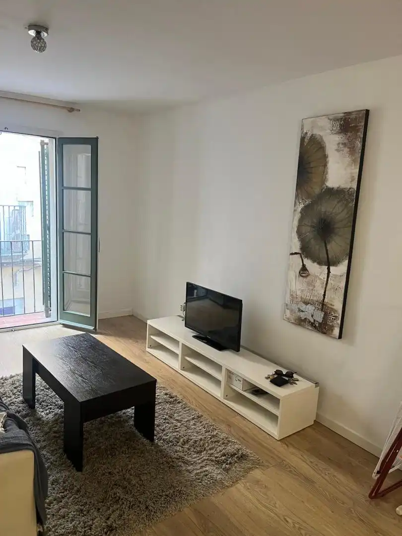 Living room of Apartments for rent in Girona  with Heating