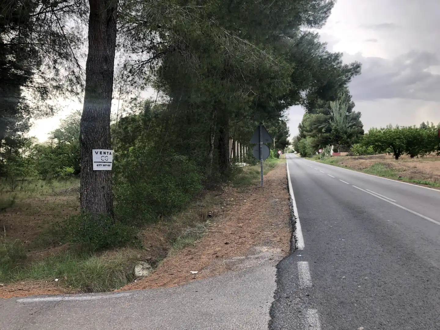Terrenos y solares en venta en Hellín, imagen 3