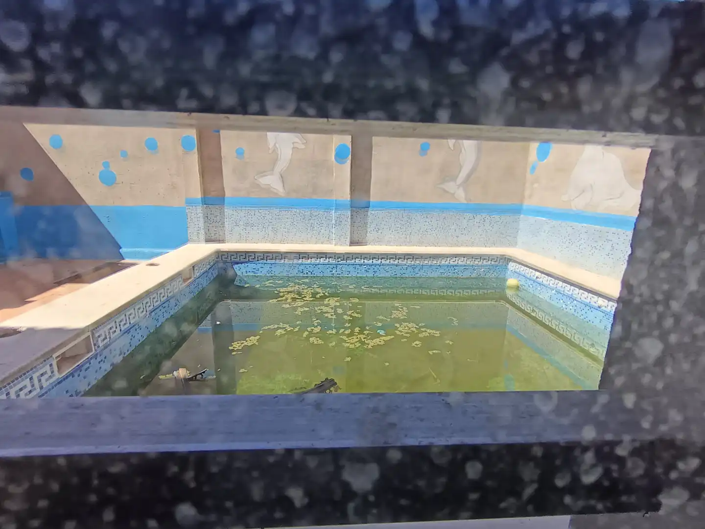 Piscina de Casa o xalet en venda en Daimiel amb Traster, Piscina i Balcó