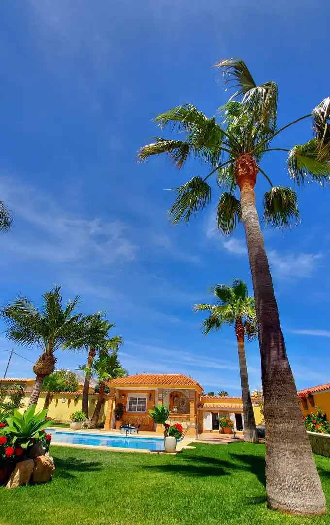 Vista exterior de Casa o chalet en venta en Benicarló con Jardín privado, Piscina y Amueblado