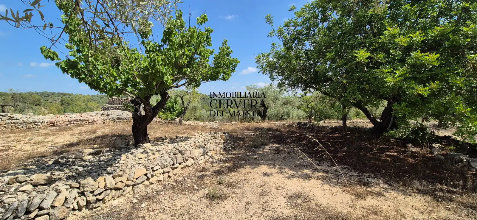 Terreno rustico in vendita a Cervera del Maestre, imagen 7