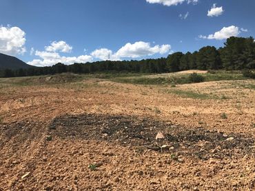 Terreno rustico in vendita a Caravaca de la Cruz