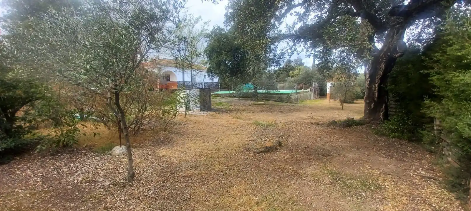 Haus zum Verkauf in Castilblanco de los Arroyos, imagen 39