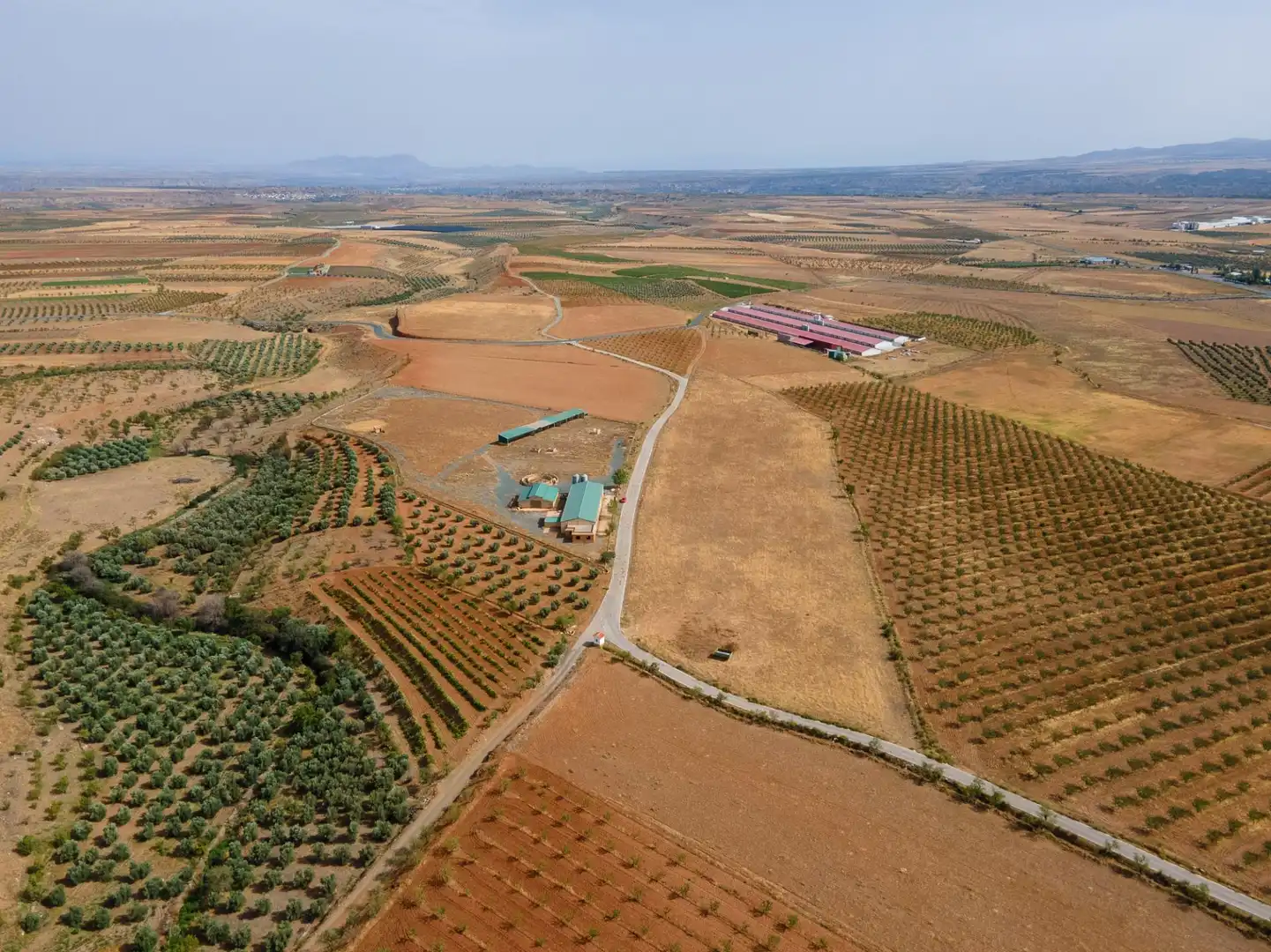 Terreno en venta en Cogollos de Guadix
