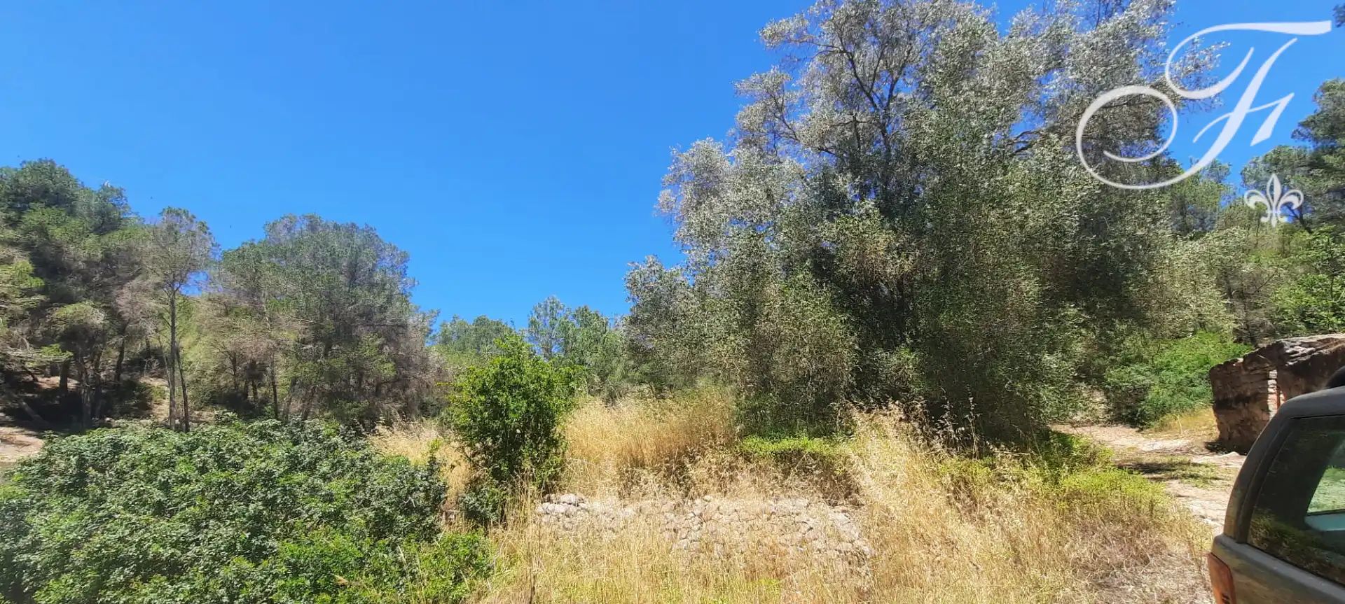 Terreny rústic en venda a Sant Jordi de Ses Salines-Sant Francesc, imagen 4