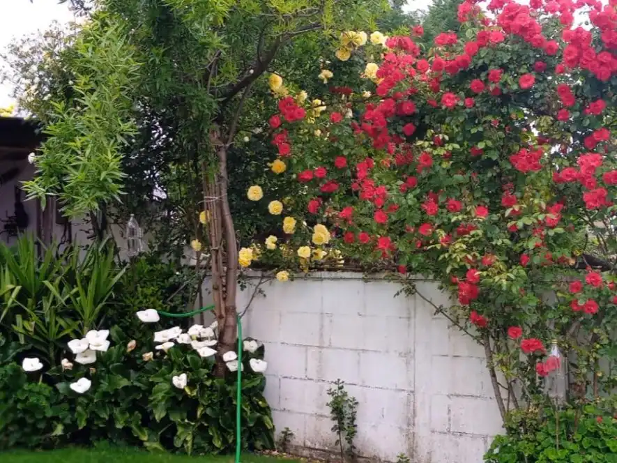 Xalet amb jardí en venda a Laredo 13, imagen 14