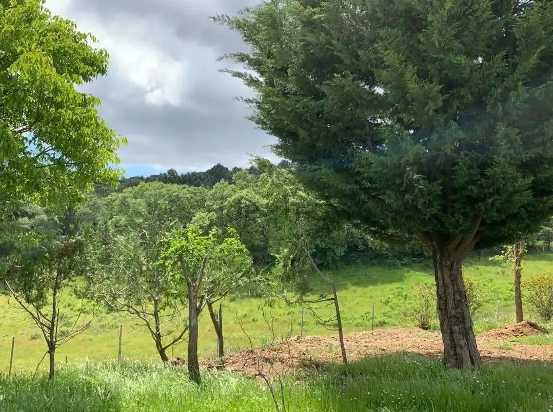Casa o chalet en venta en Calera de León con Jardín privado, Terraza y Amueblado