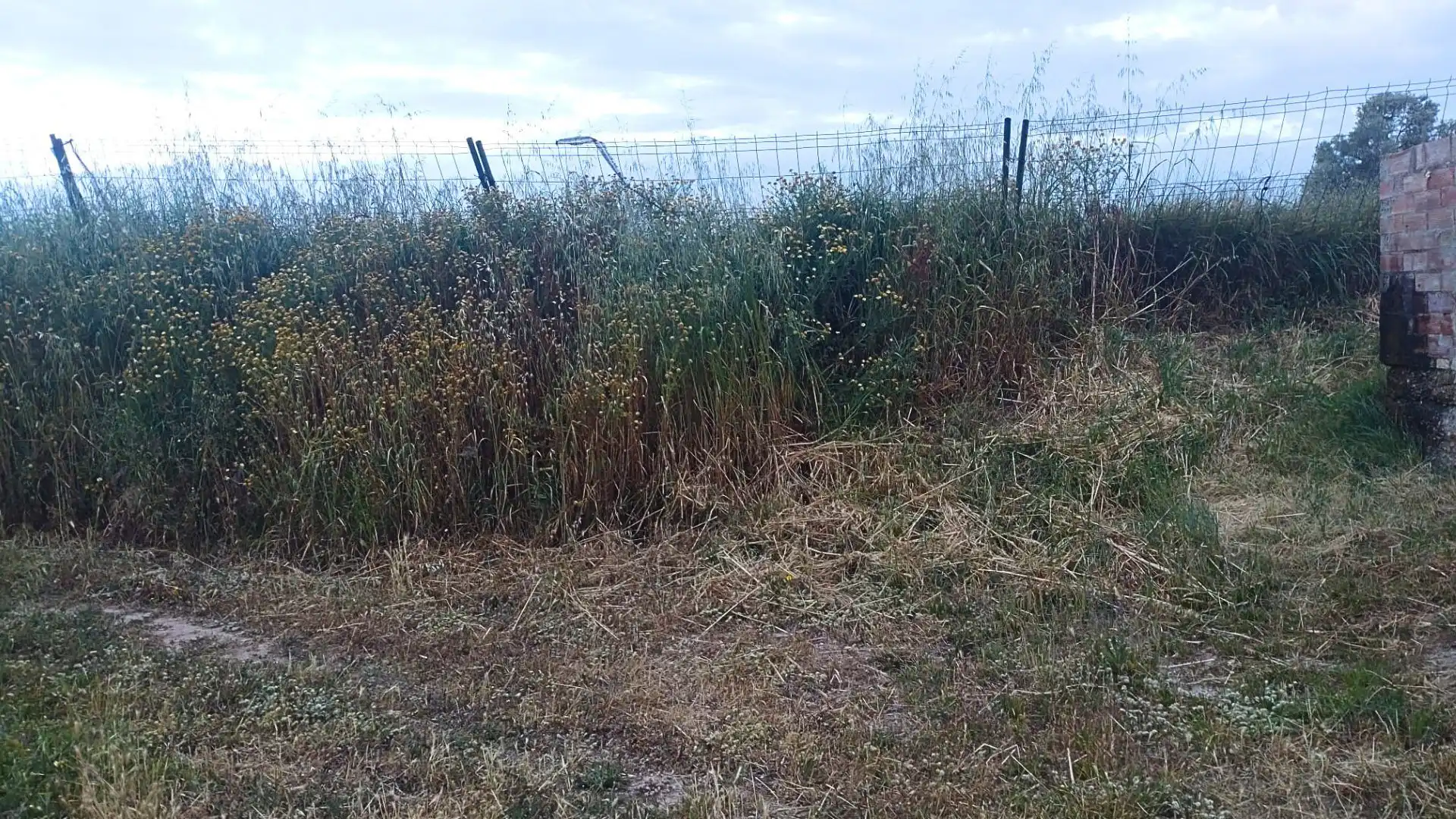 Terreno residenziale in vendita a Camino Nou, imagen 8