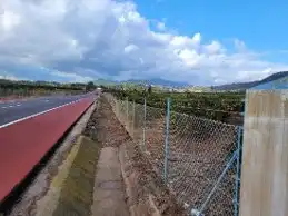 Terrain rustique à vendre à La Loma - Las Lomas, imagen 18