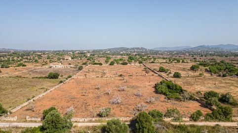 Photo 5 of Residential for sale in S'Illot - Cala Morlanda, Manacor