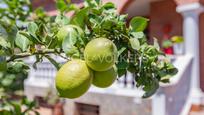 Vista exterior de Casa o xalet en venda en Barberà del Vallès amb Aire condicionat, Calefacció i Jardí privat