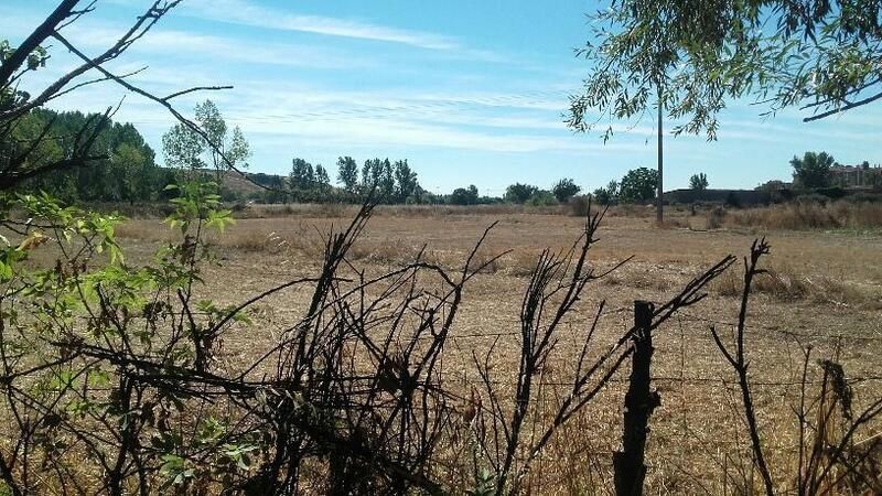 Residencial en venda a PARAJE TRAS EL PRADO NUEVO, POLIGONO 5, PARCELA, El Ejido - Santa Ana