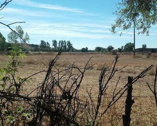 Residencial en venda a PARAJE TRAS EL PRADO NUEVO, POLIGONO 5, PARCELA, El Ejido - Santa Ana