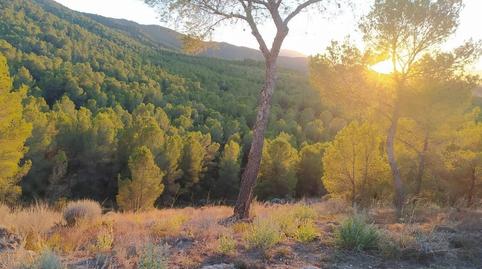 Foto 3 de Pis en venda a El Palmar,  Murcia Capital