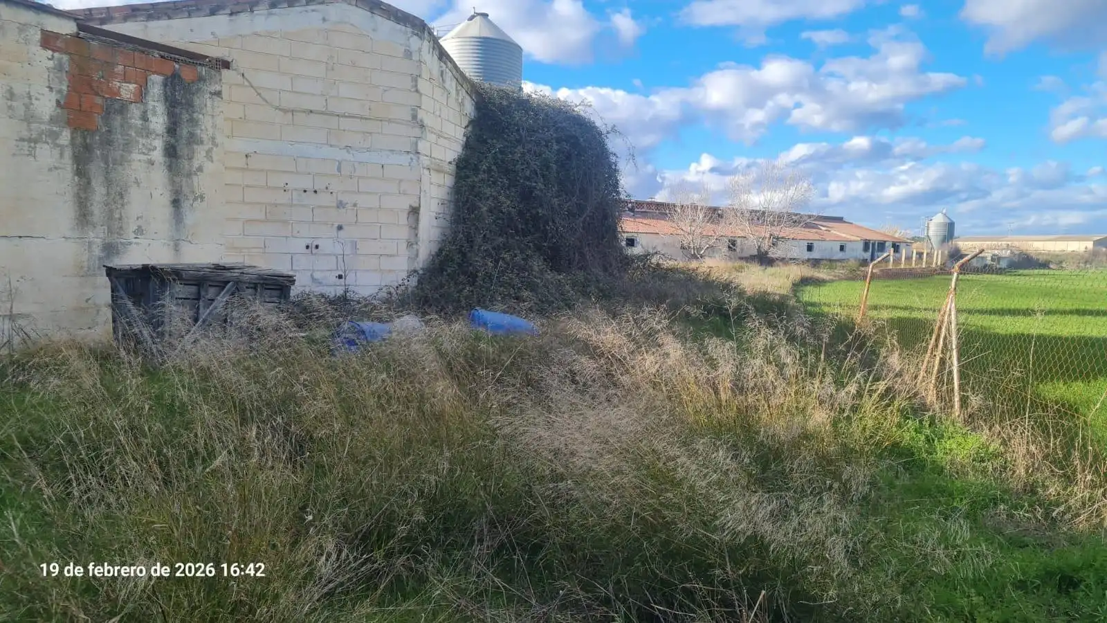 Land for sale in Tauste