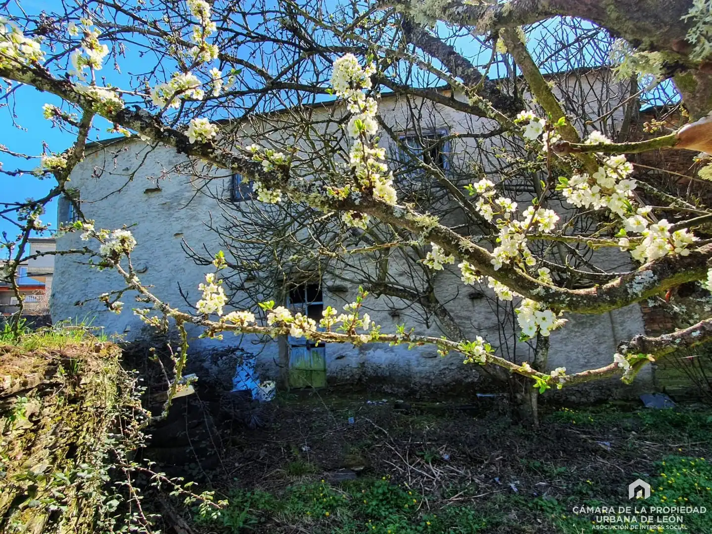 Jardín de Casa o chalet en venta en Páramo del Sil