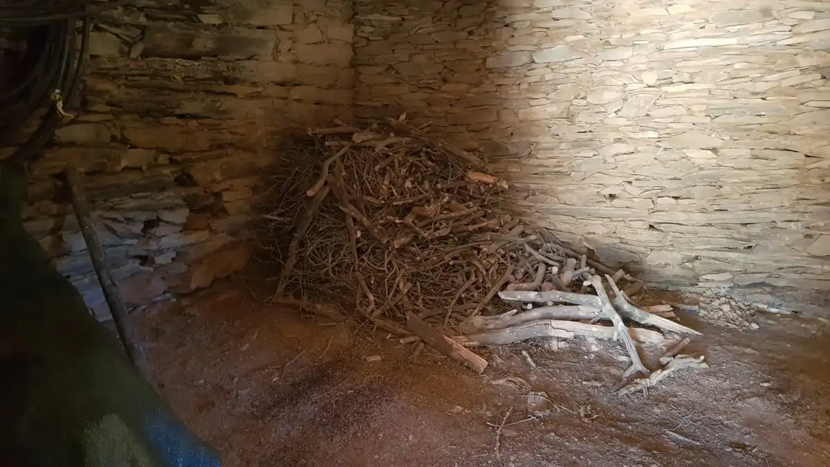 Finca rústica en venta en La Codosera