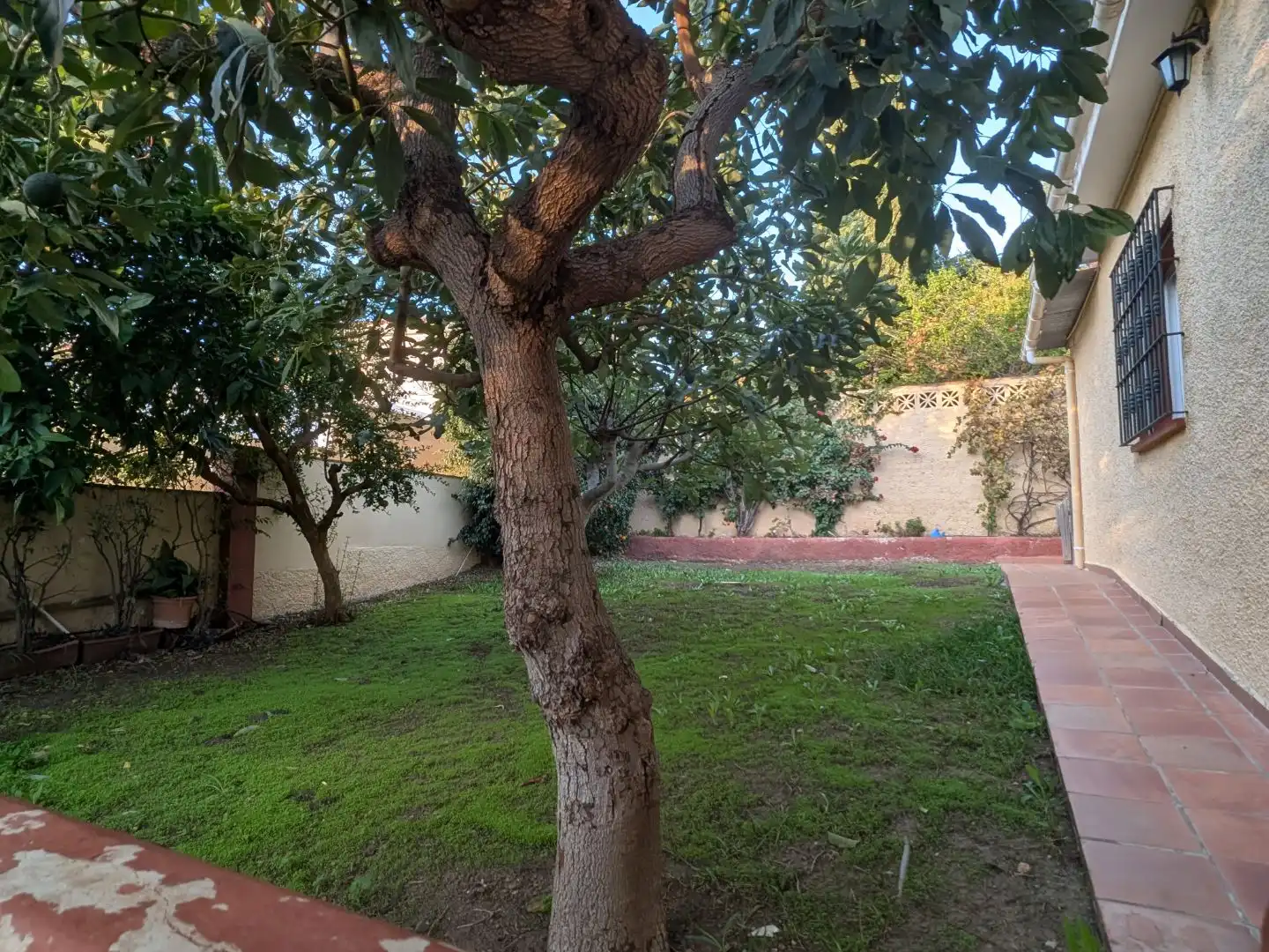 Villa con giardino in vendita a Avenida del Tomillar 47, imagen 3