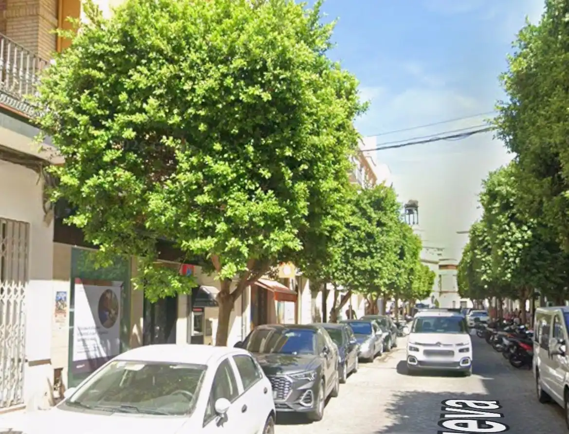Local commercial à vendre à Calle Nueva 14, imagen 4