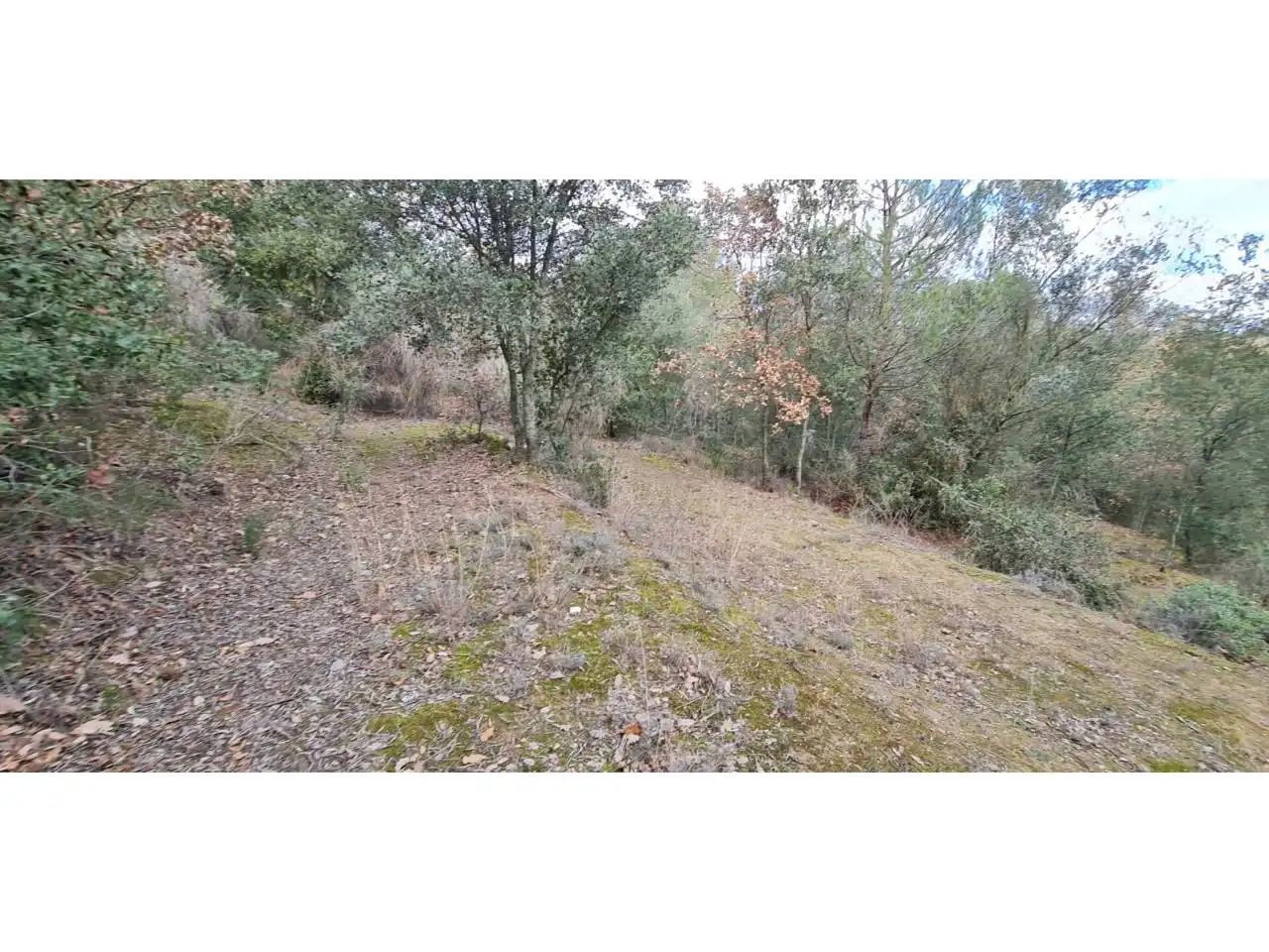 Rural land for sale in Lliçà d'Amunt, imagen 17