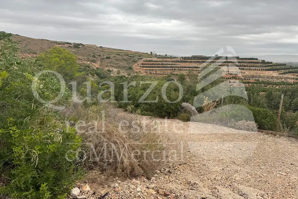 Terreny rústic en venda a Carlet