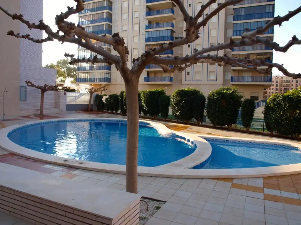 Apartament de lloguer a Avenida Ferrandis Salvador, 286, La Curva