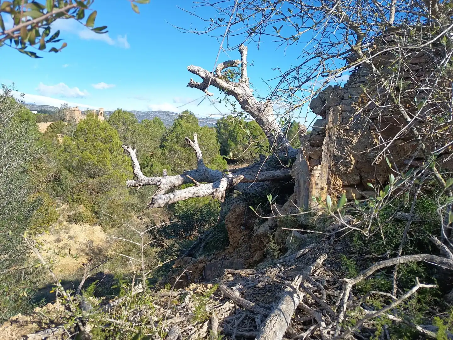 Jardí de Finca rústica en venda en Ulldecona