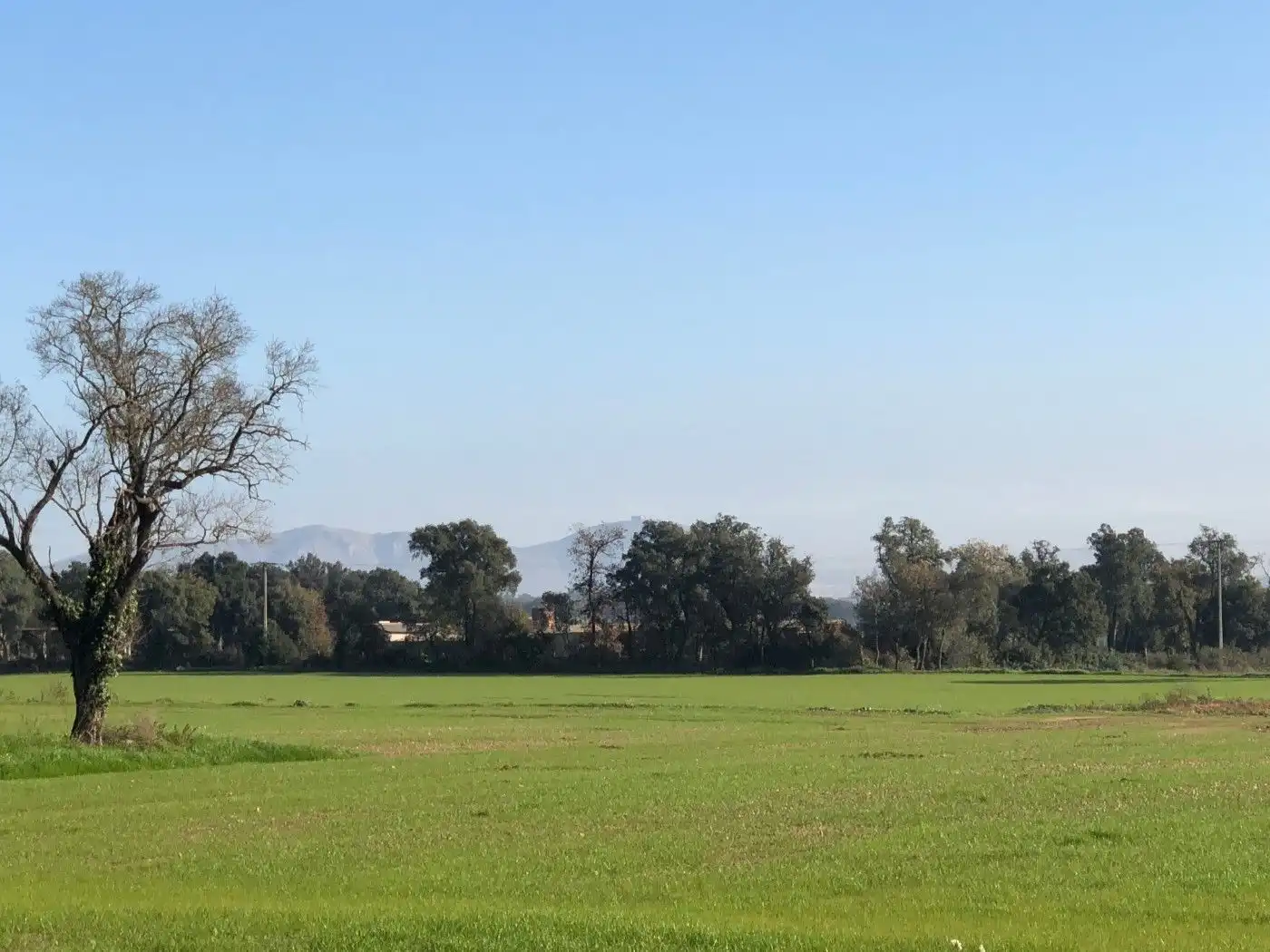 Finca rústica en venda a Carrer Sant Isidre, 2, Corçà
