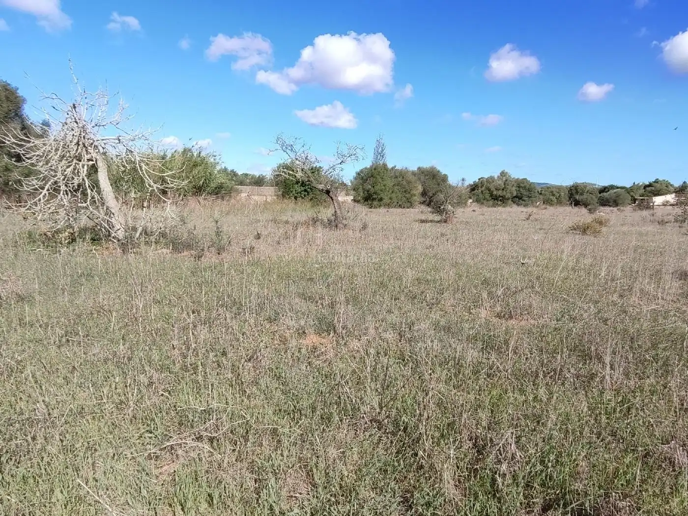Wohnbaugrundstück zum Verkauf in Camí de son Antelm 89, imagen 3