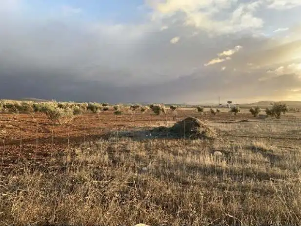 Rural land for sale in C/ N-4, Km 210.6, imagen 7