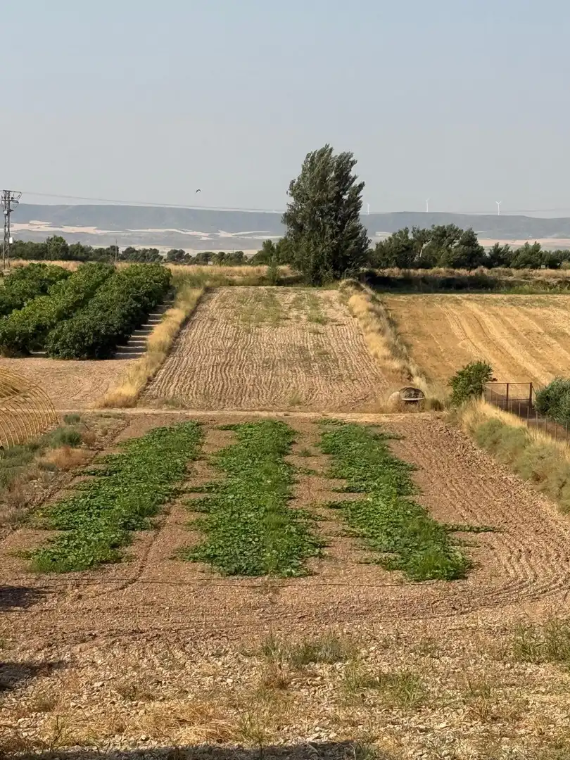 Terrain rustique à vendre à Barrios rurales del oeste, imagen 4