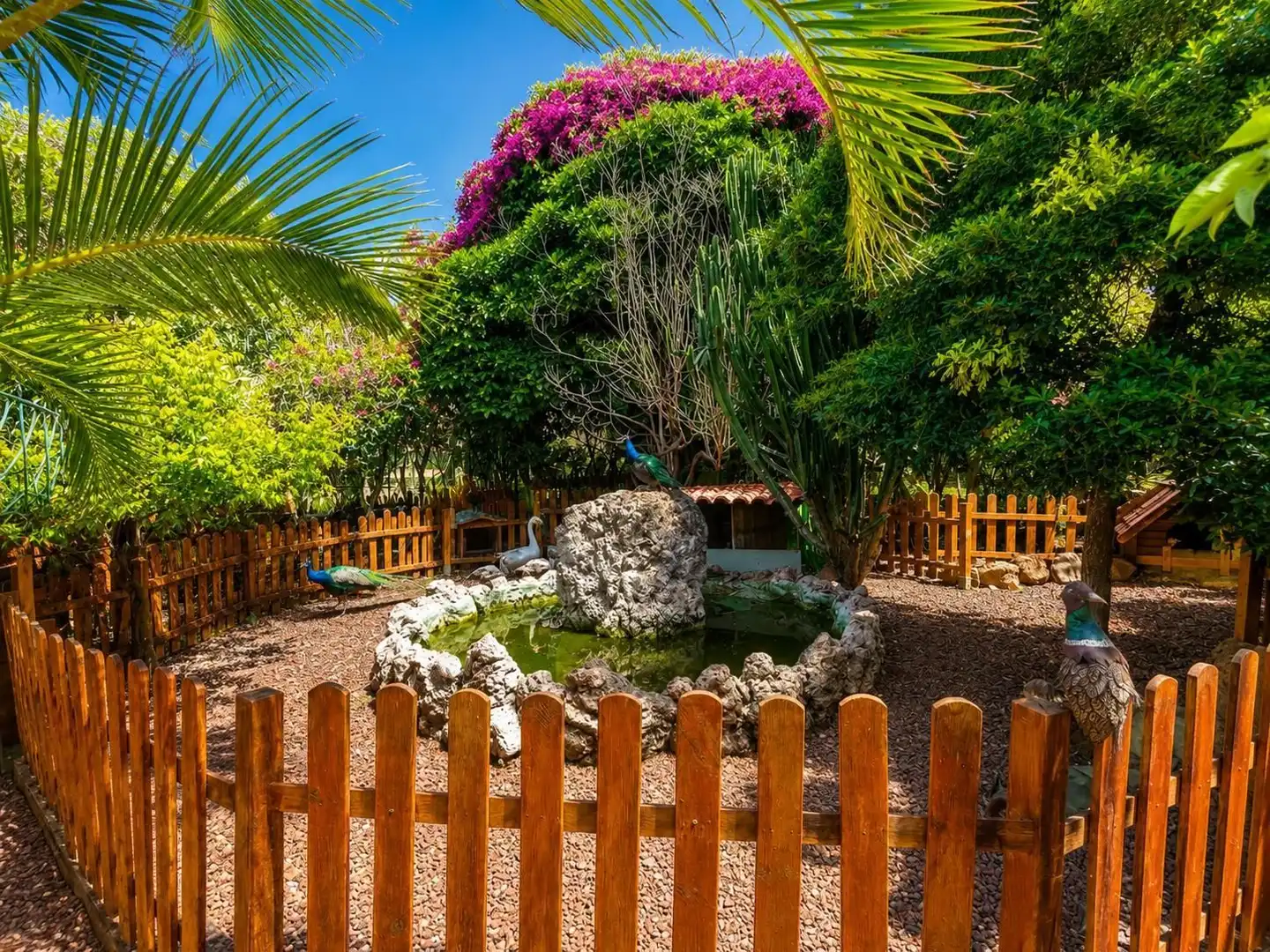 Jardí de Casa o xalet en venda en San Miguel de Abona amb Jardí privat, Traster i Piscina