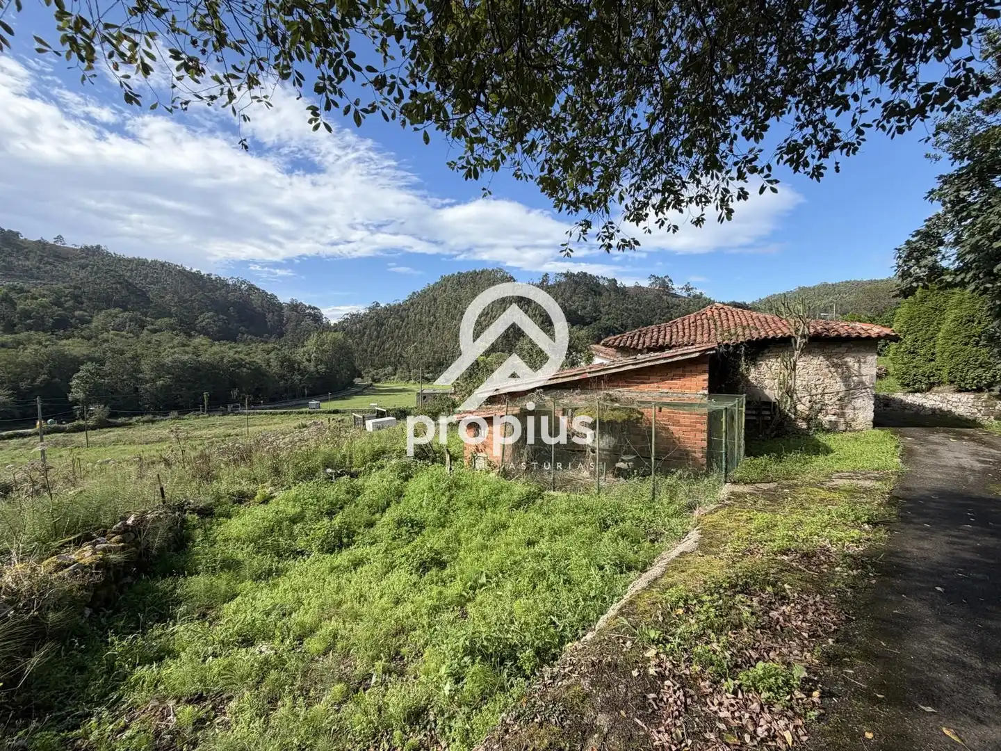 Vista exterior de Casa o chalet en venta en Ribadesella con Jardín privado